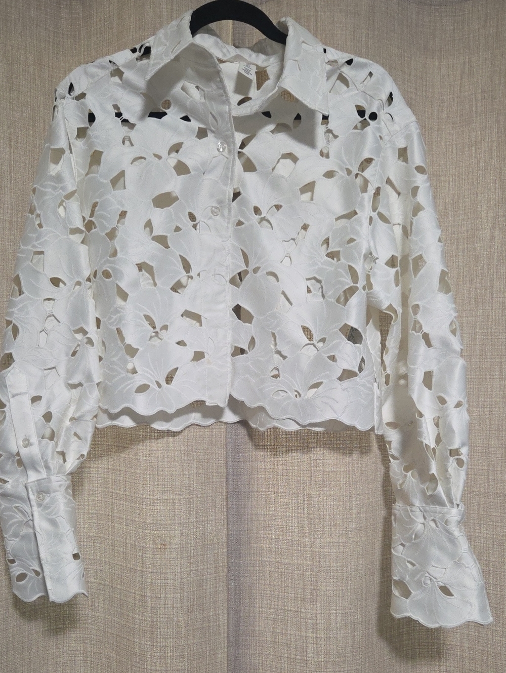 H&M White Eyelet Cutout Button-Down Crop Shirt